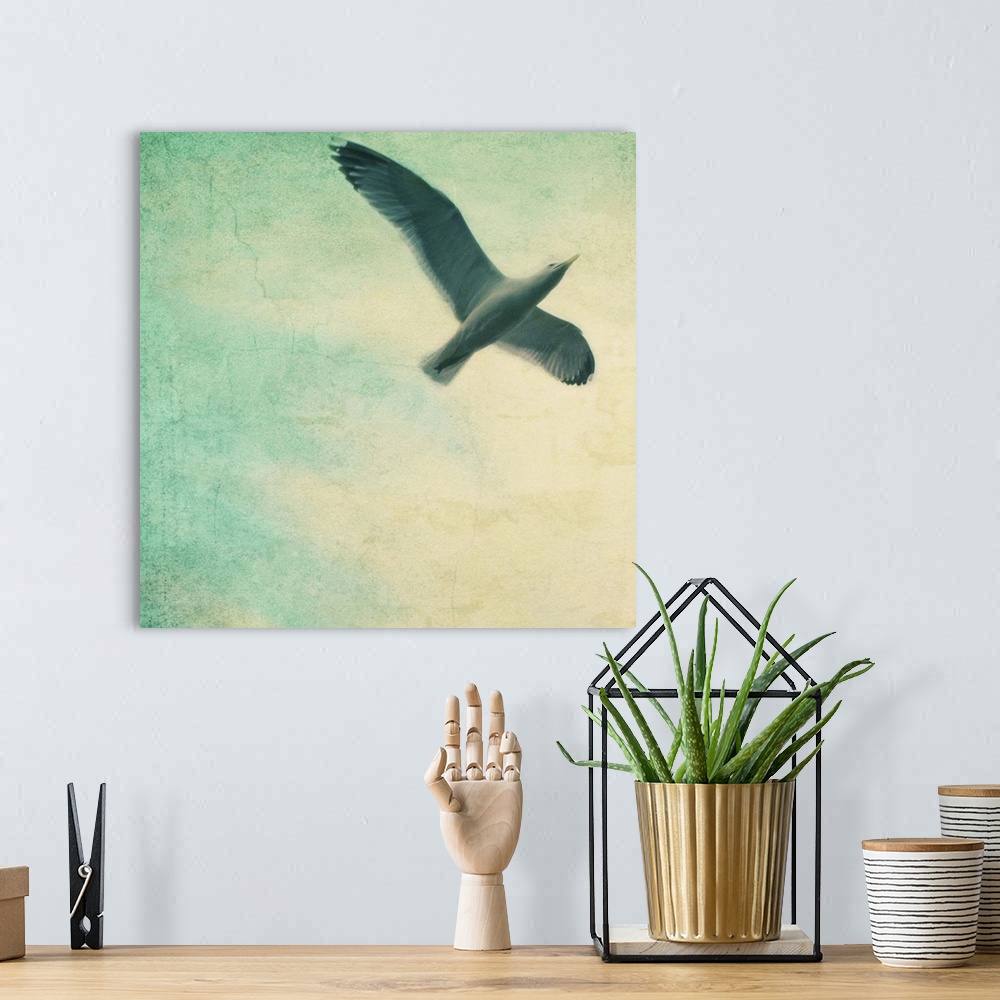 A bohemian room featuring close-up of a gull flying in a texturized sky