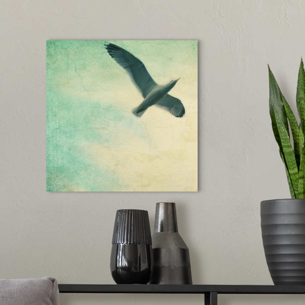 A modern room featuring close-up of a gull flying in a texturized sky