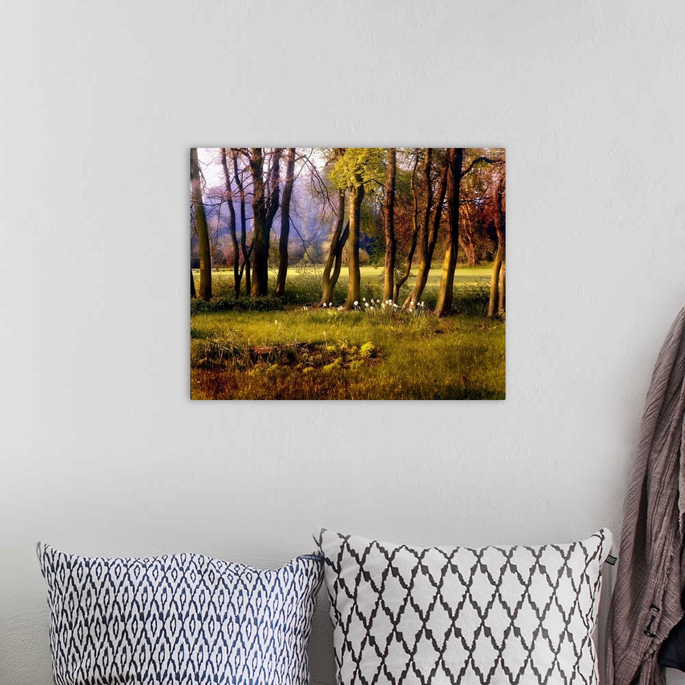 A bohemian room featuring A pastural scene with trees and flowers