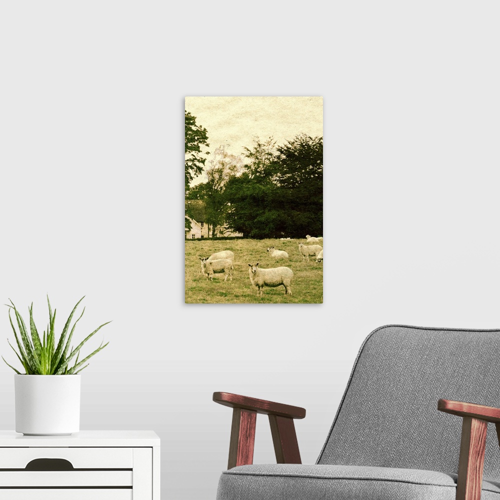 A modern room featuring Countryside scene with sheep in a field with a large house hidden amongst trees