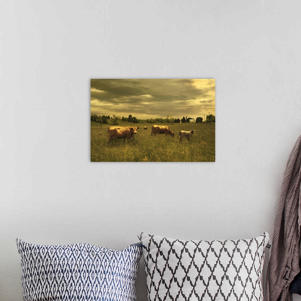 A bohemian room featuring Cows in a field