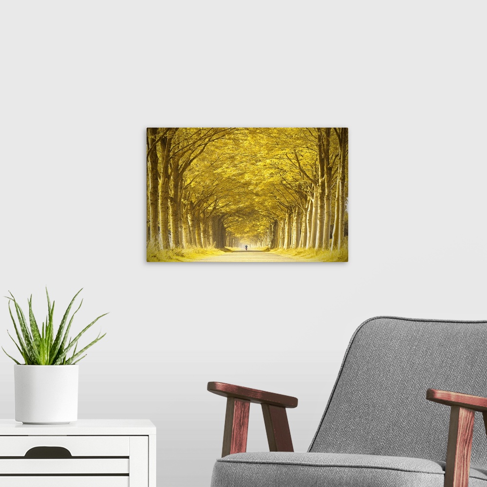 A modern room featuring Not recognizable person cycling alone down a long straight golden tree lined lane in summer under...