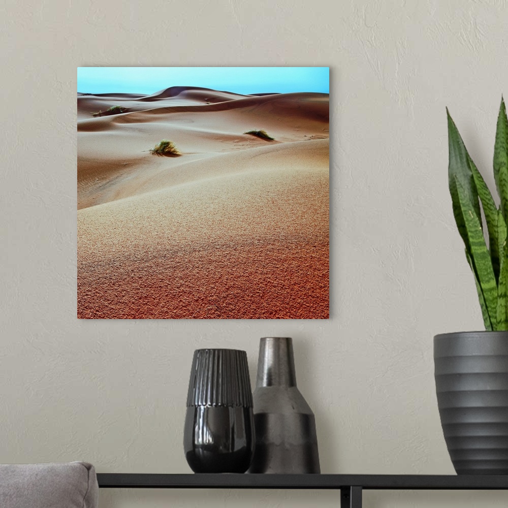 A modern room featuring Sahara Desert Sand Dunes