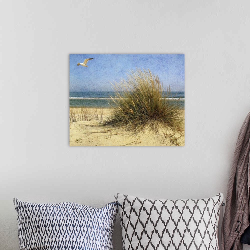 A bohemian room featuring A seagull flying above a beach