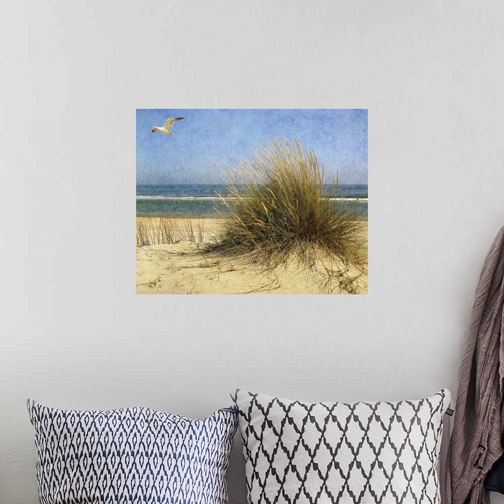 A bohemian room featuring A seagull flying above a beach
