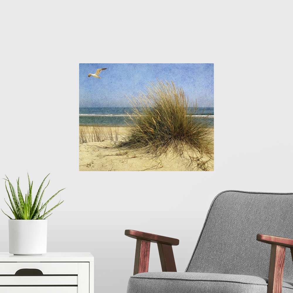 A modern room featuring A seagull flying above a beach