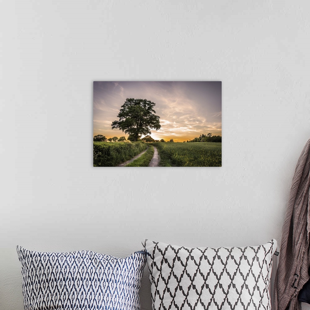 A bohemian room featuring Sun setting over fields in the English countryside with a rural lane and oak tree.
