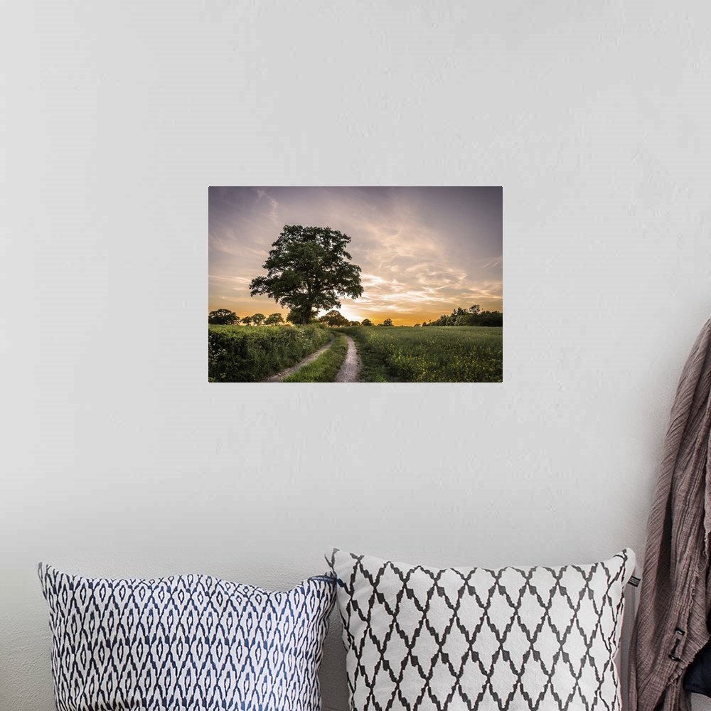 A bohemian room featuring Sun setting over fields in the English countryside with a rural lane and oak tree.