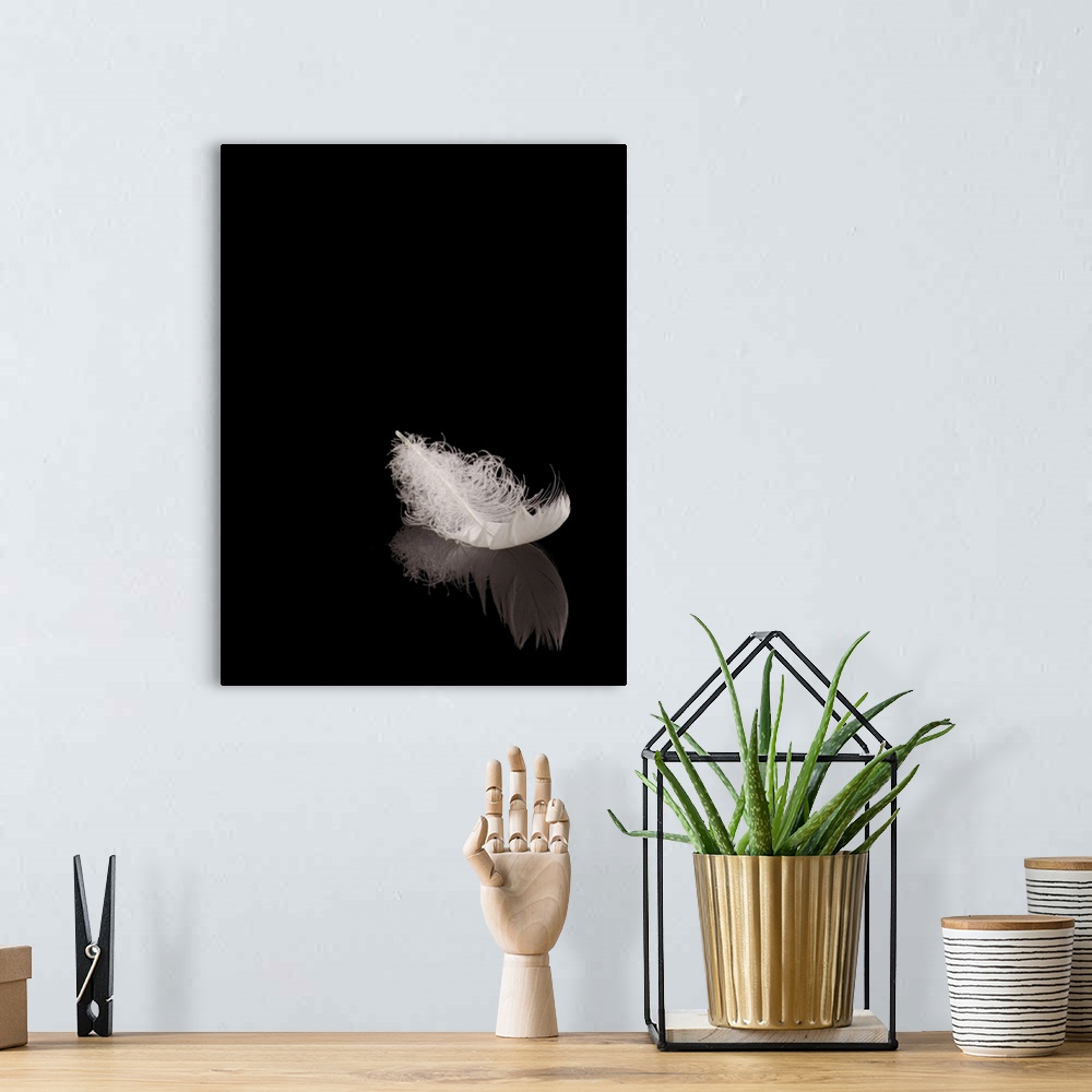 A bohemian room featuring White feather on black reflective surface.