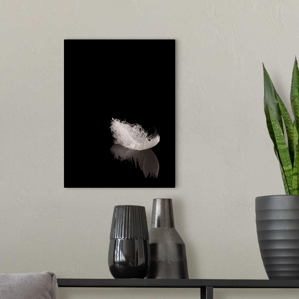 A modern room featuring White feather on black reflective surface.