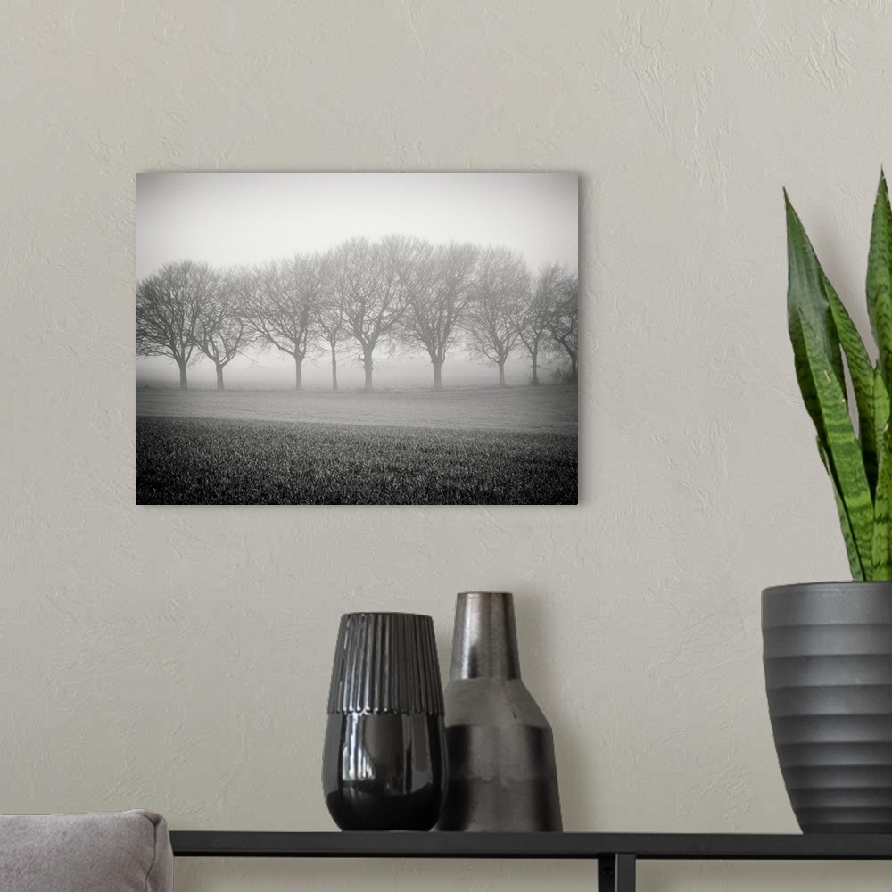 A modern room featuring Foggy landscape scene with trees with bare branches