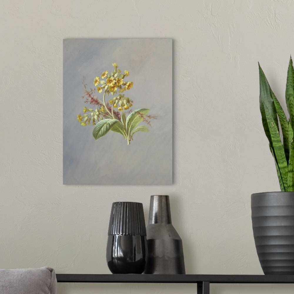 A modern room featuring Clusters of yellow flowers with foliage at base. Behind the flowers are two stems of brown foliage.