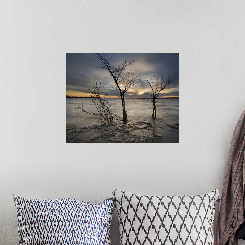 A bohemian room featuring Frozen landscape with small bare tree and setting sun