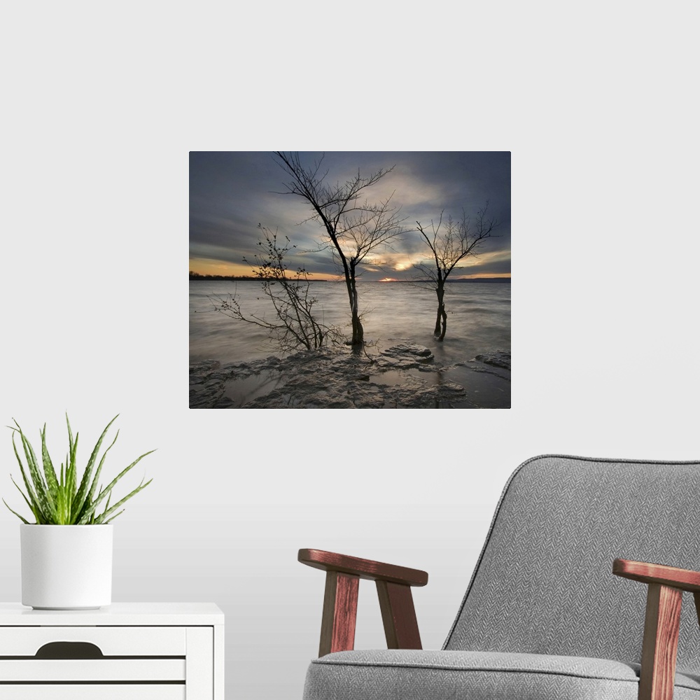 A modern room featuring Frozen landscape with small bare tree and setting sun