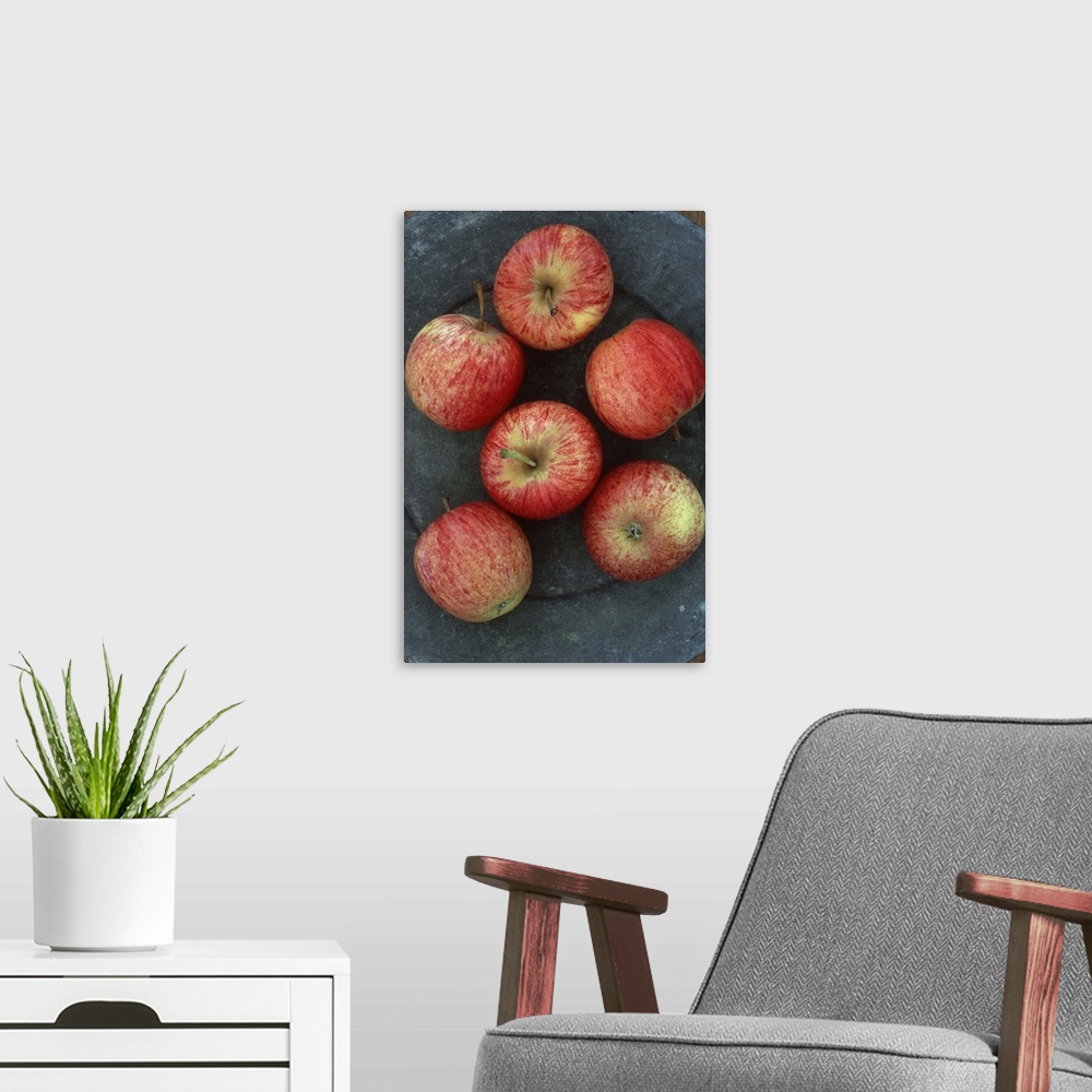A modern room featuring Six red and yellow striped Gala apples on tarnished metal plate