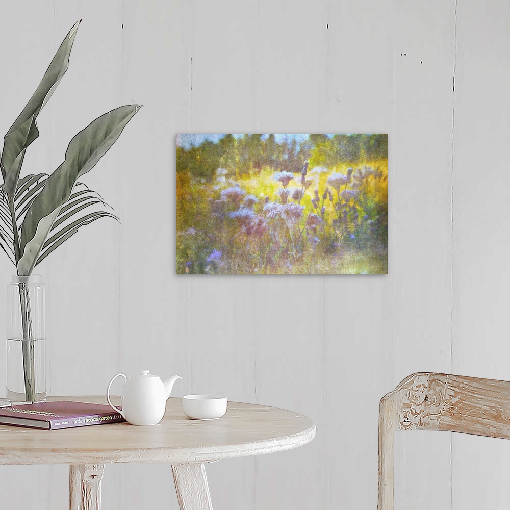 A farmhouse room featuring A dried plant in summer on the South Downs with seed heads.