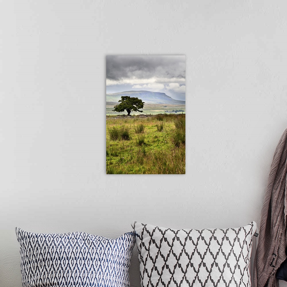 A bohemian room featuring Lone Tree and Pen y Ghent from Gauber near Ribblehead, Yorkshire Dales, England.