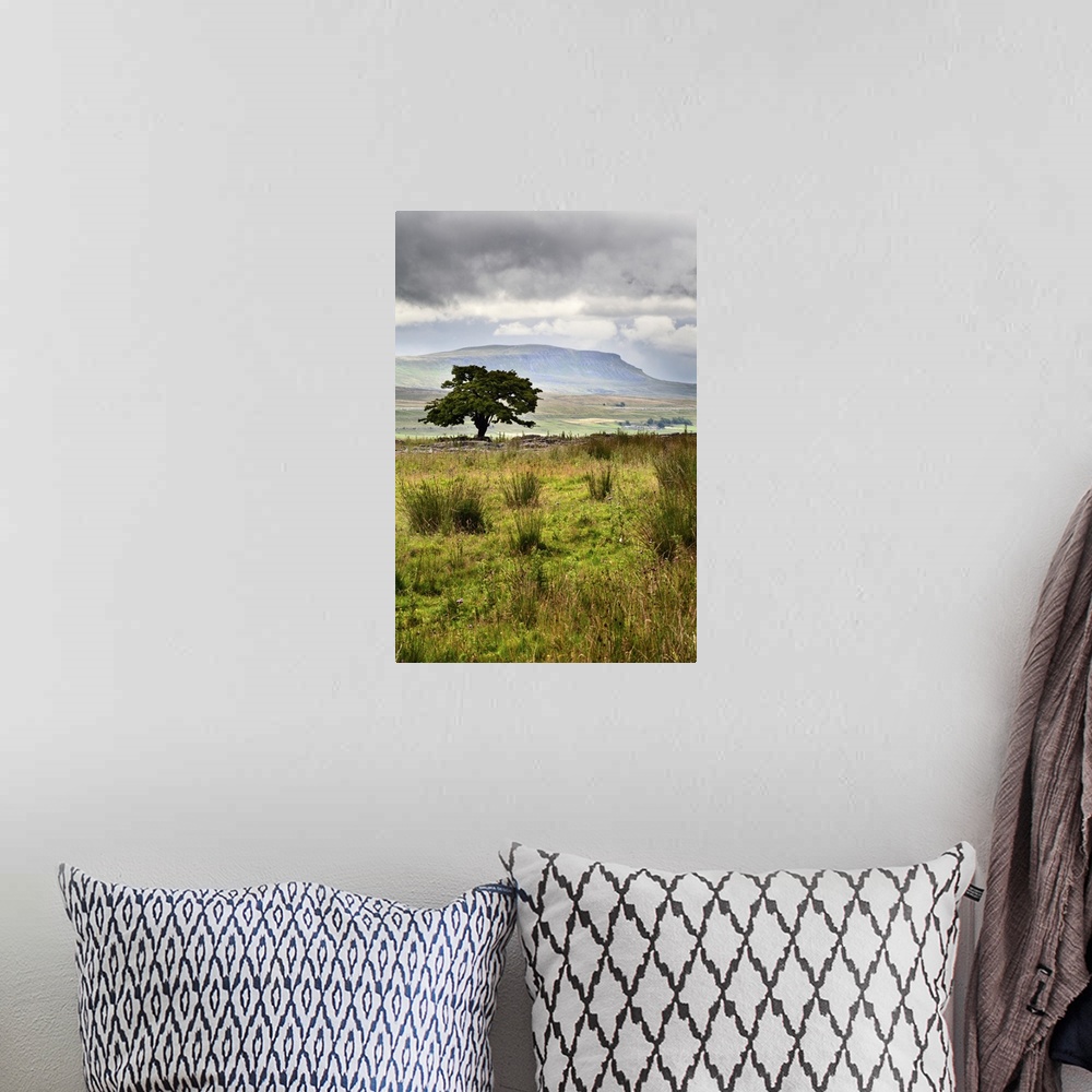 A bohemian room featuring Lone Tree and Pen y Ghent from Gauber near Ribblehead, Yorkshire Dales, England.