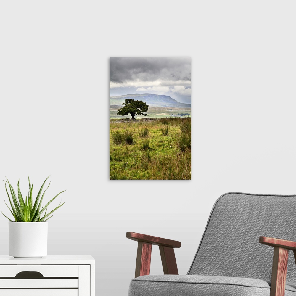 A modern room featuring Lone Tree and Pen y Ghent from Gauber near Ribblehead, Yorkshire Dales, England.