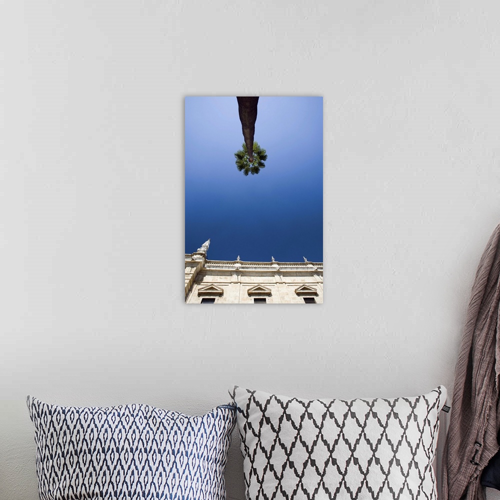 A bohemian room featuring Low angle view of a tall palm tree and the top of Seville's University building, Seville, Spain