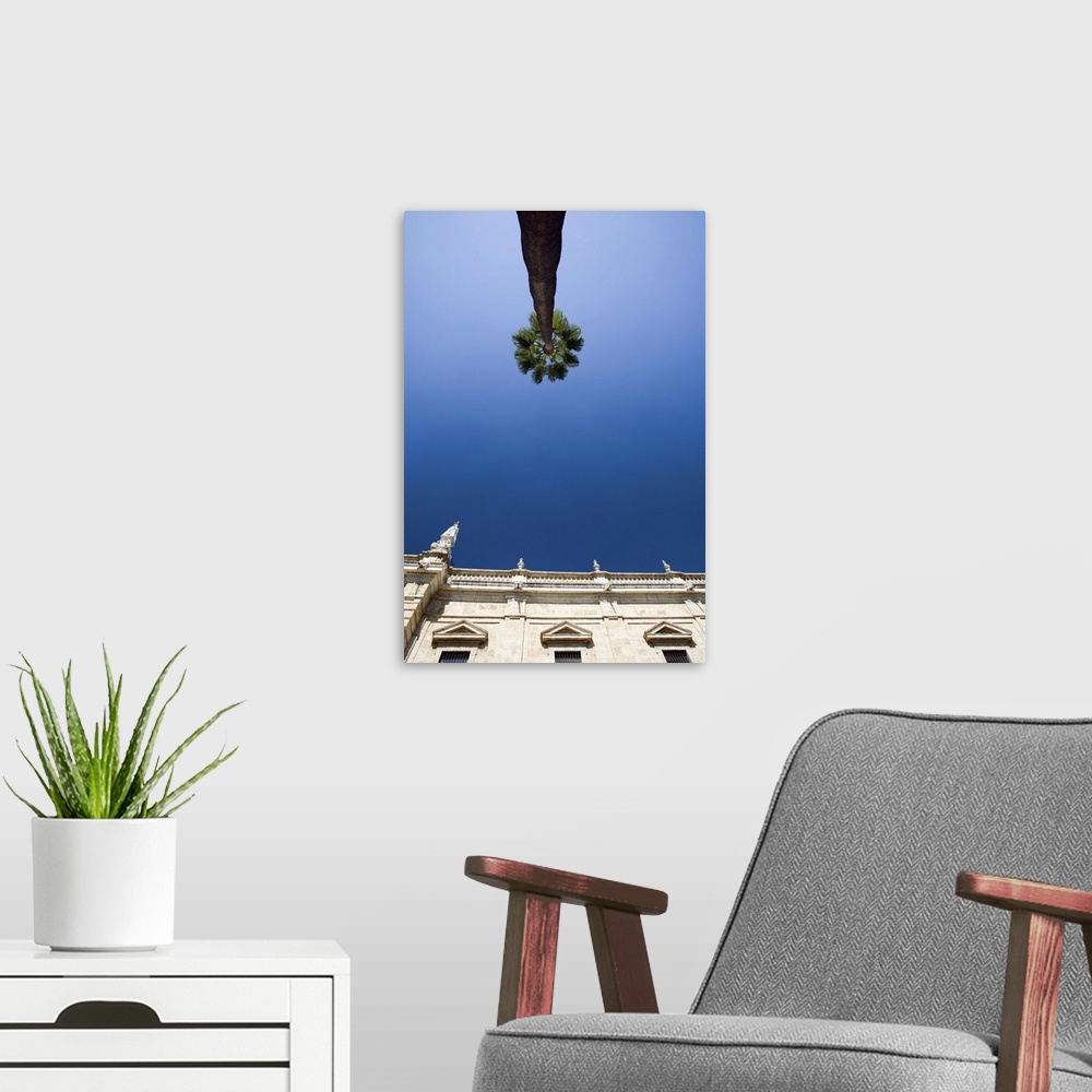 A modern room featuring Low angle view of a tall palm tree and the top of Seville's University building, Seville, Spain