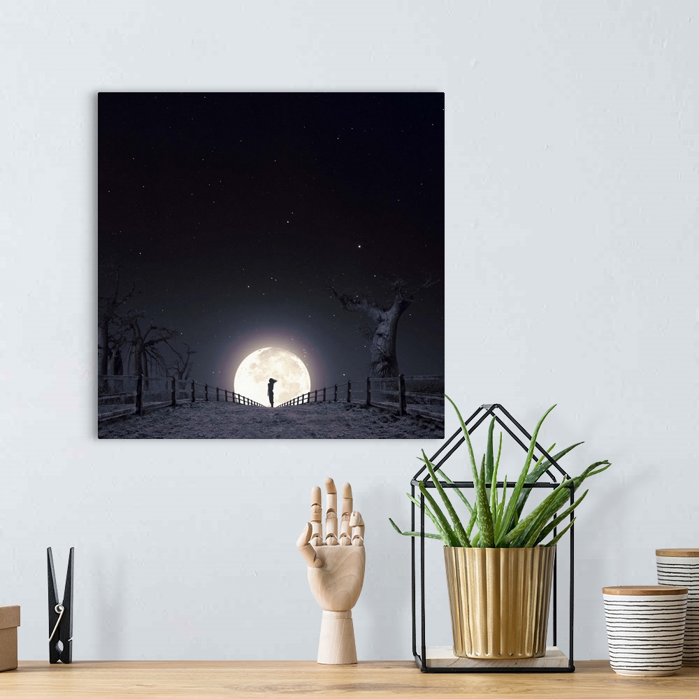 A bohemian room featuring Conceptual image of girl at night silhouetted by the moon at the end of post and rail fencing