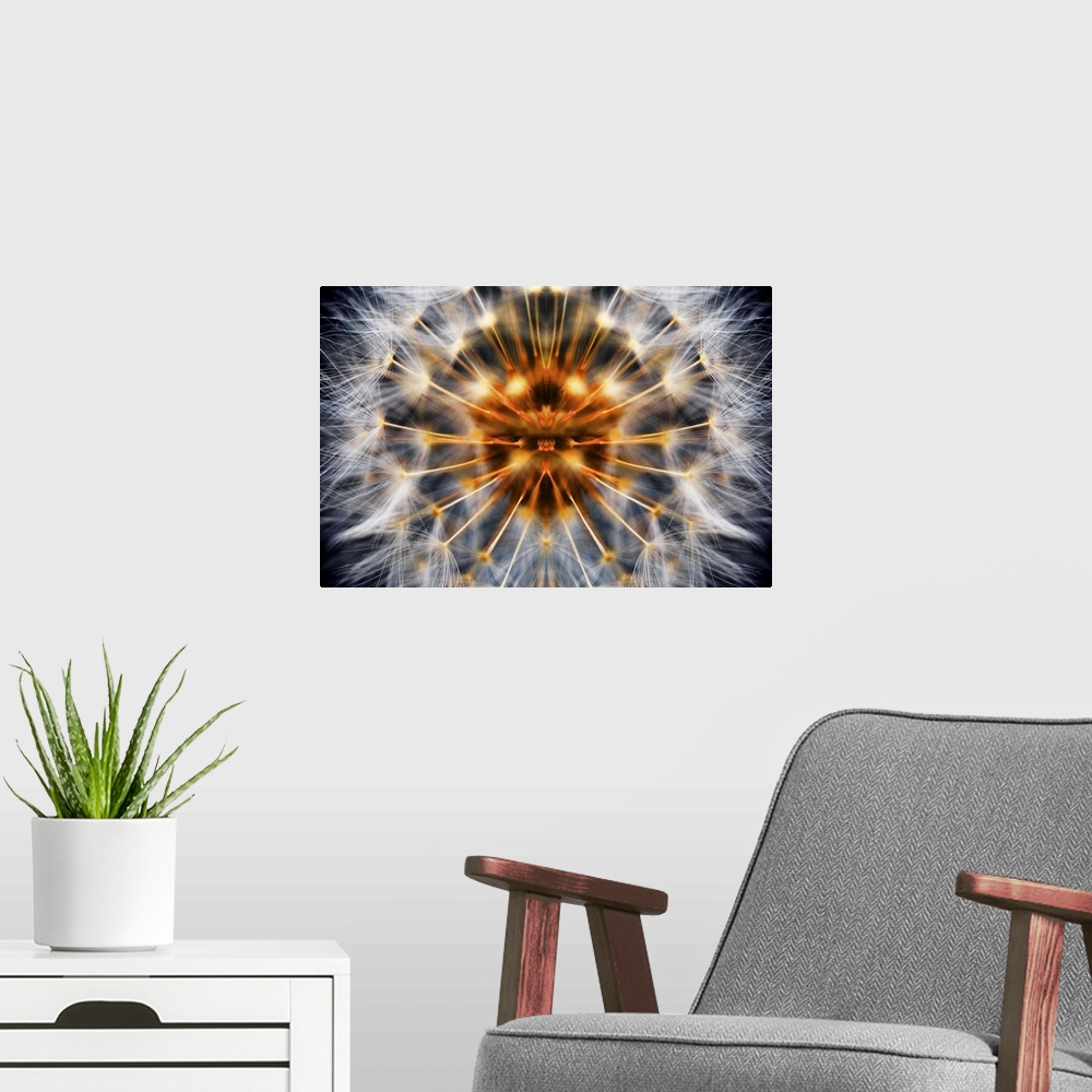 A modern room featuring Dandelion Clock abstract mirrored to make a perfect dandelion.