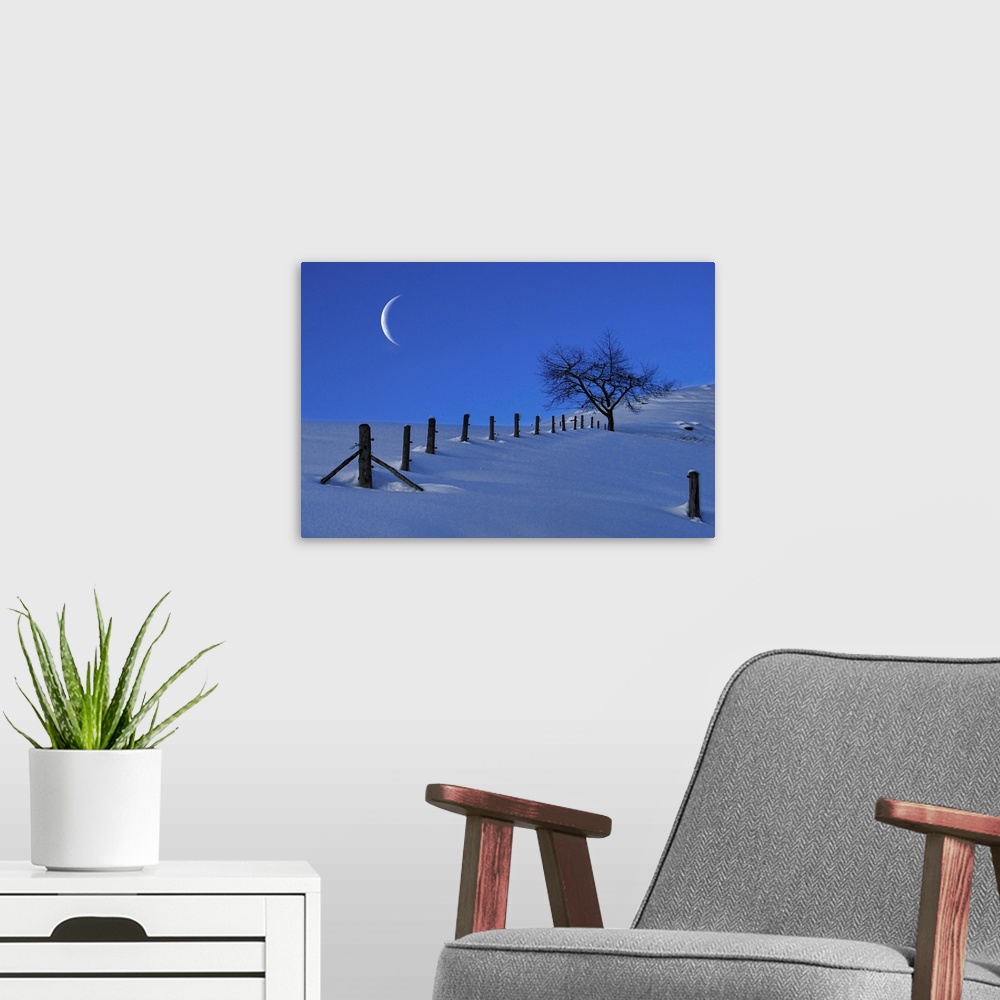 A modern room featuring Moon Rising over a Snowy Landscape with a Single Tree and a Fence, Austria, Europe