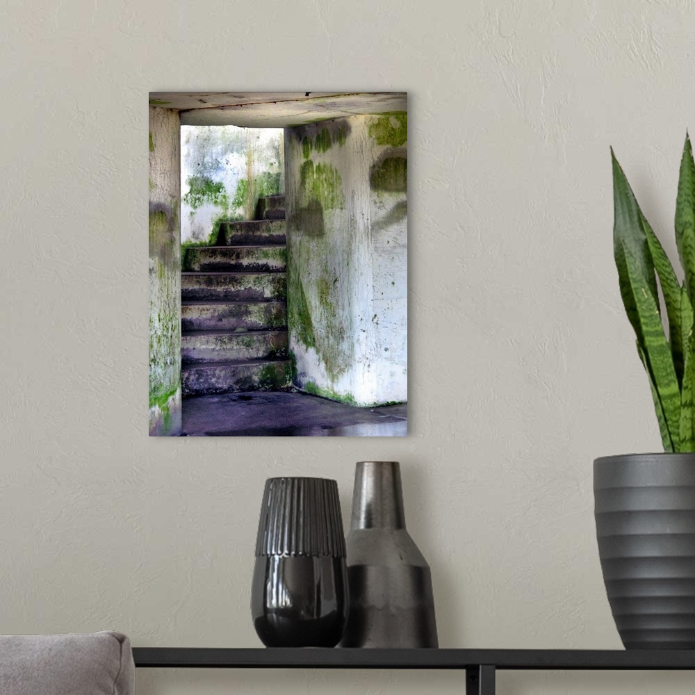 A modern room featuring A mossy damp stairway