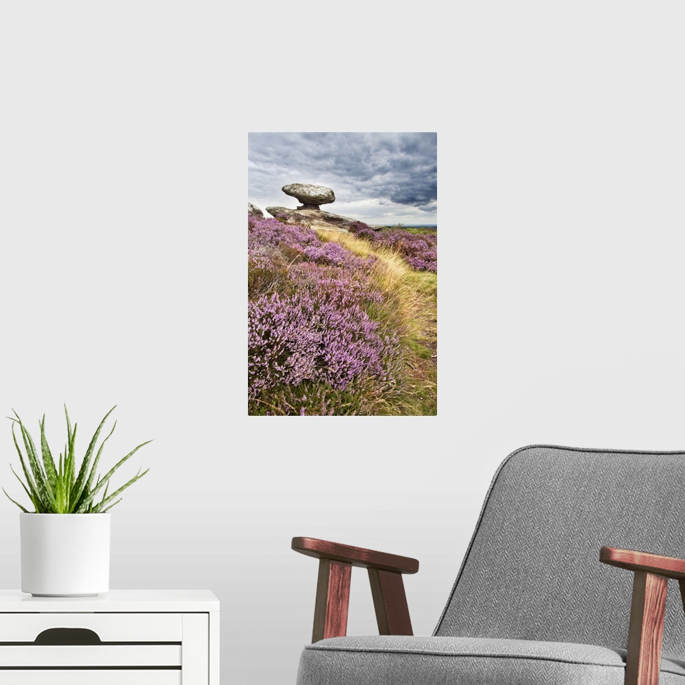 A modern room featuring Remote rural location with heather in the north of England.