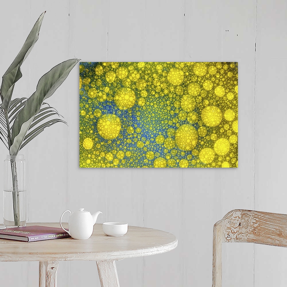 A farmhouse room featuring Oil Bubbles macro/close-up with food colouring to make an abstract blue and yellow image.