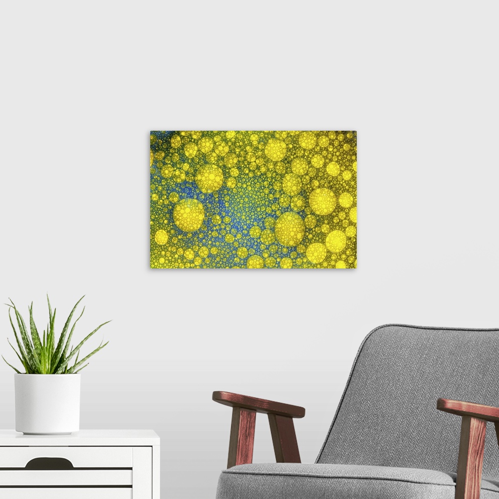 A modern room featuring Oil Bubbles macro/close-up with food colouring to make an abstract blue and yellow image.