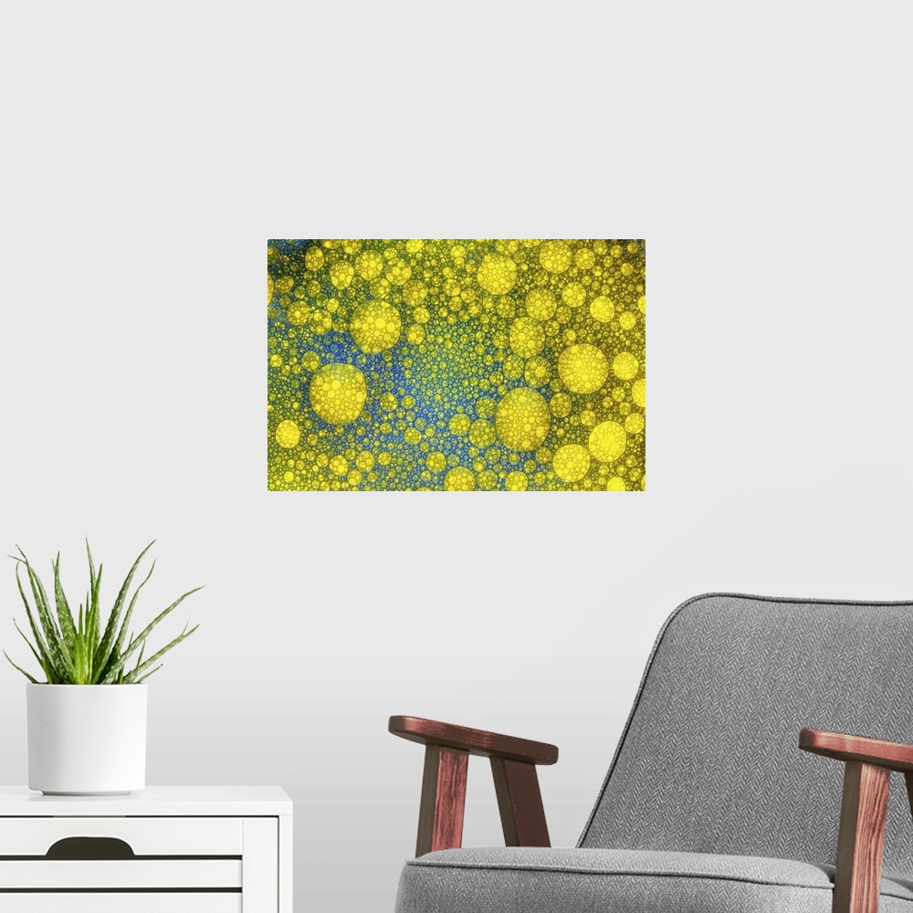 A modern room featuring Oil Bubbles macro/close-up with food colouring to make an abstract blue and yellow image.