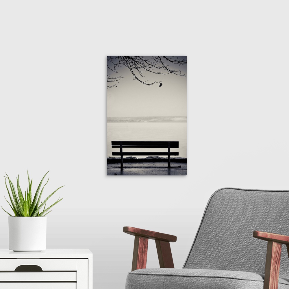 A modern room featuring An emply bench along an ocean walk with one leaf on tree branches hanging down.