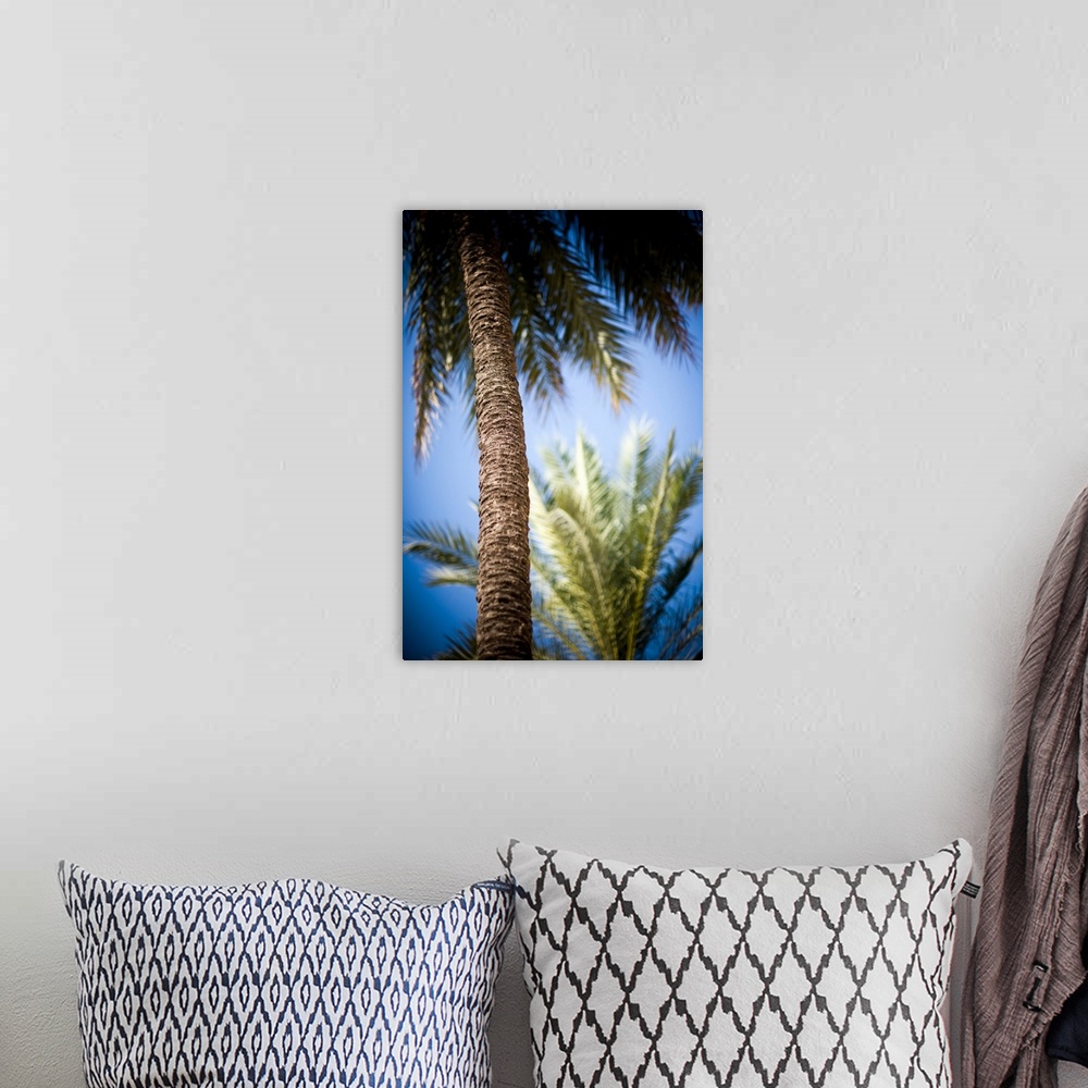 A bohemian room featuring Palm trees, Seville, Spain