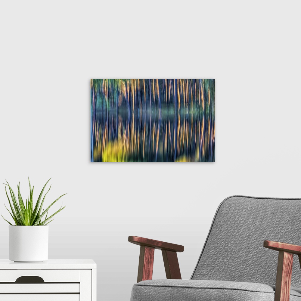 A modern room featuring Long exposure shot of pine trunks reflected on a pond.