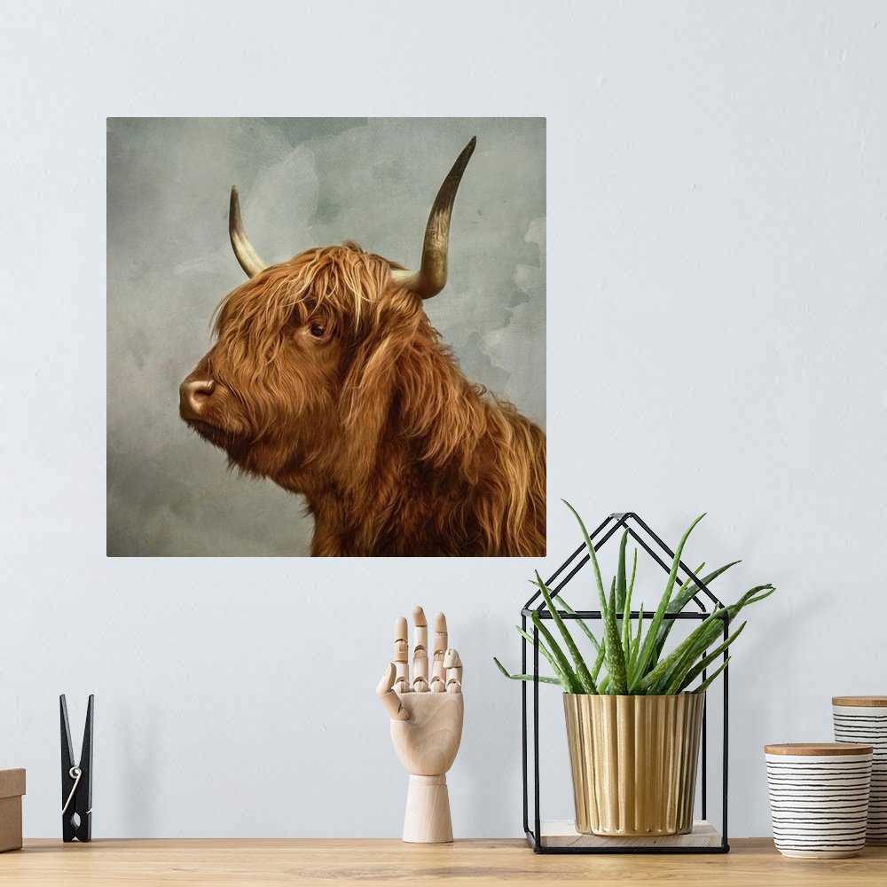 A bohemian room featuring Proud portrait of a highland cow with horns.