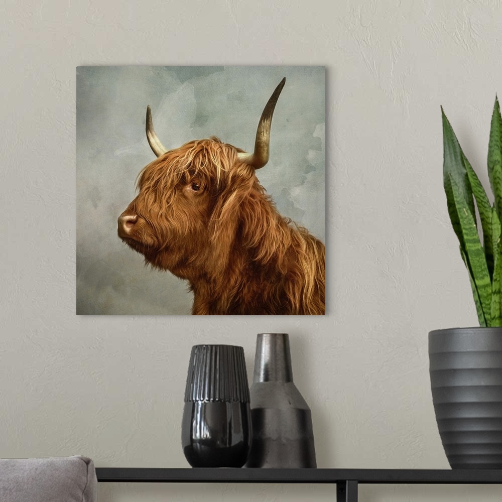 A modern room featuring Proud portrait of a highland cow with horns.
