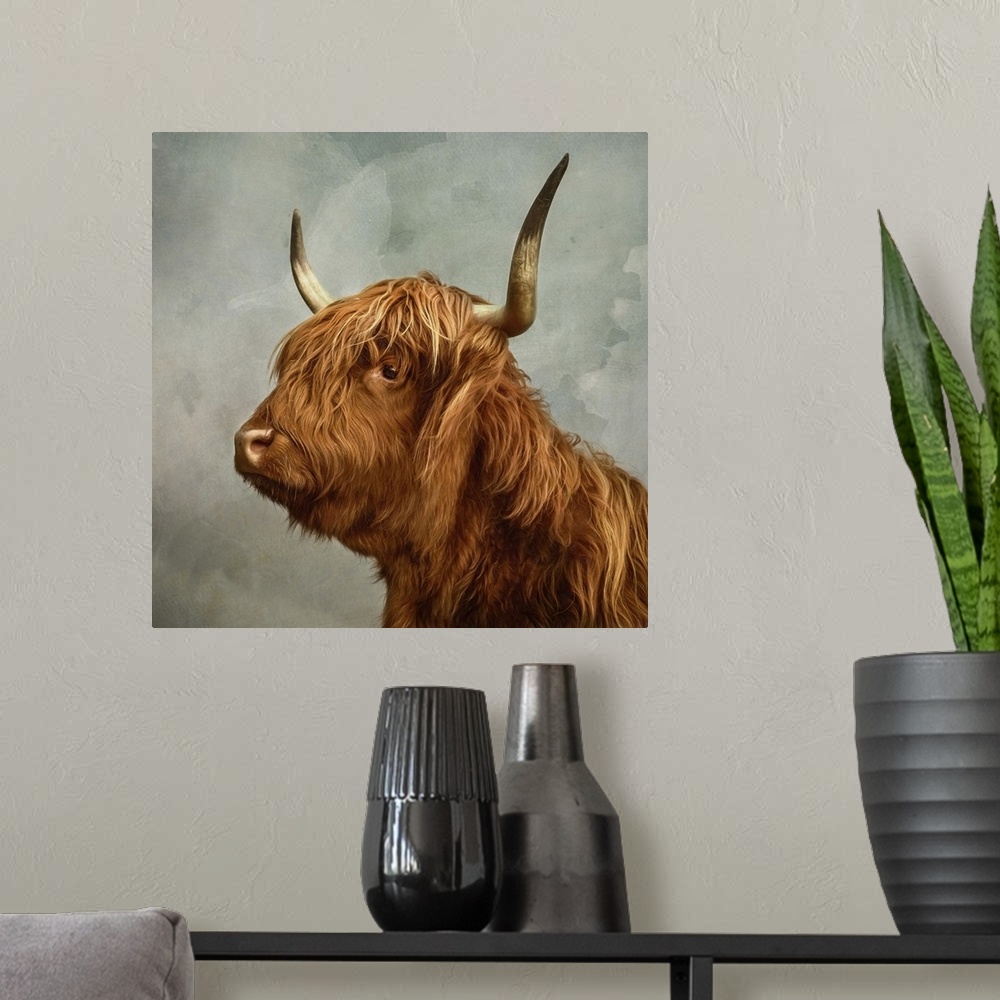 A modern room featuring Proud portrait of a highland cow with horns.
