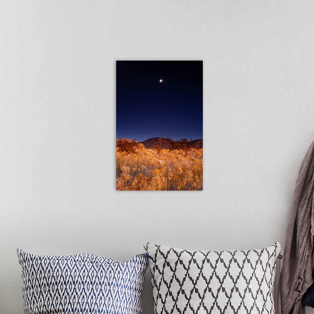 A bohemian room featuring Sandia mountains desert twilight landscape moon rise, New Mexico