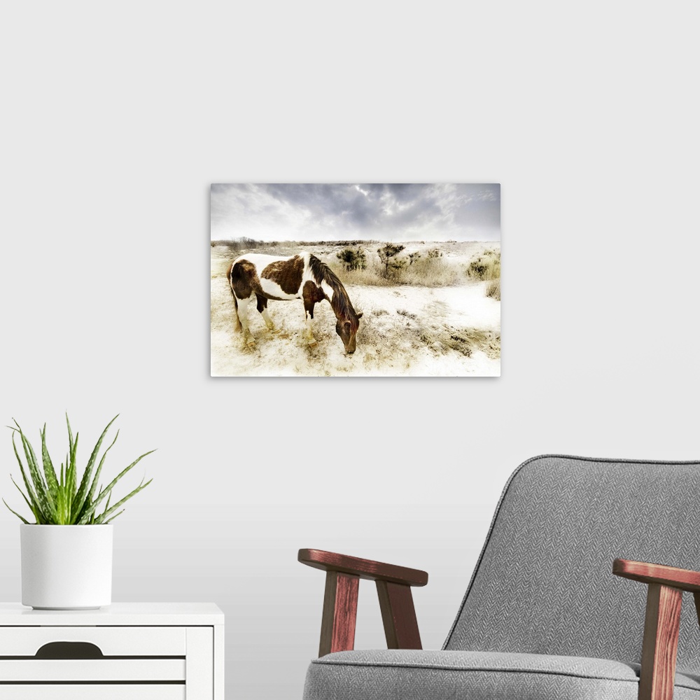 A modern room featuring A pony on a sandy beach