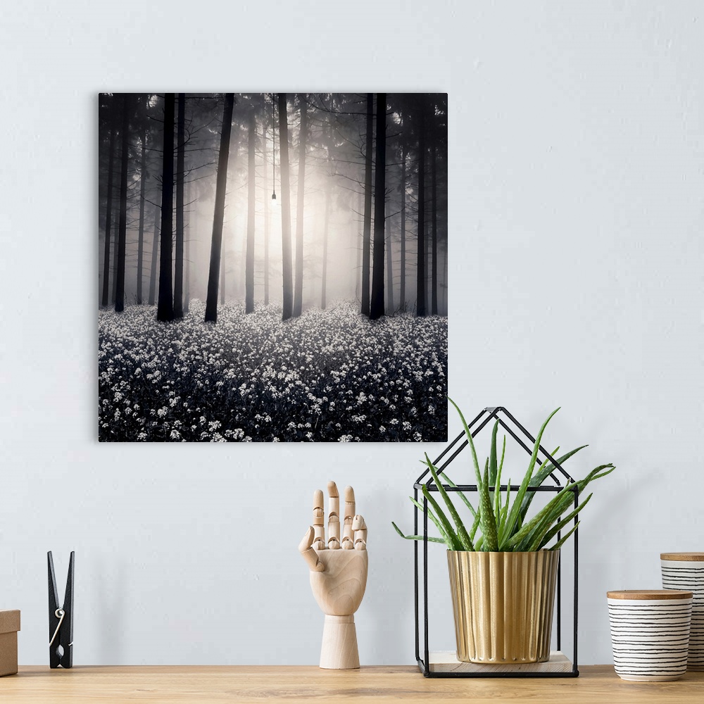 A bohemian room featuring Light bulb illuminating trees in a forest