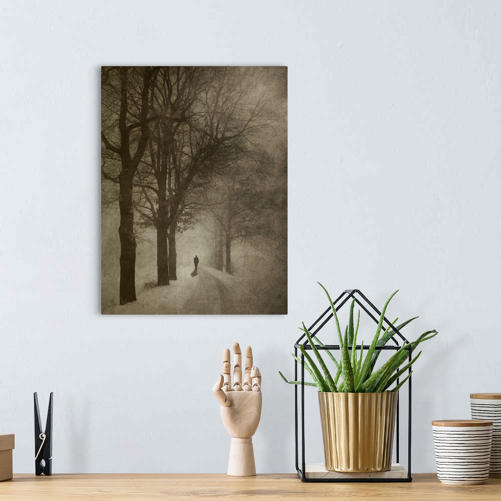A bohemian room featuring Silhouette of a person standing in the middle of a mysterious tree-lined road in winter