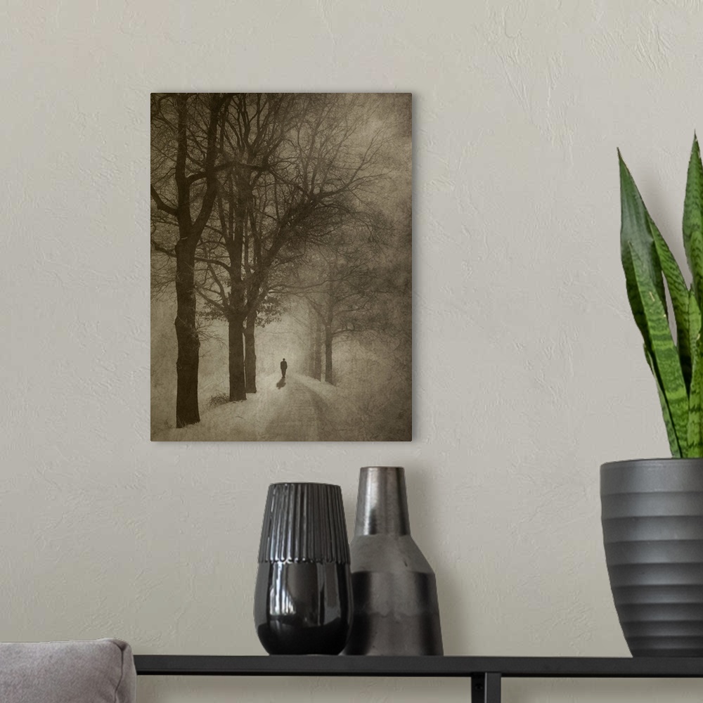 A modern room featuring Silhouette of a person standing in the middle of a mysterious tree-lined road in winter