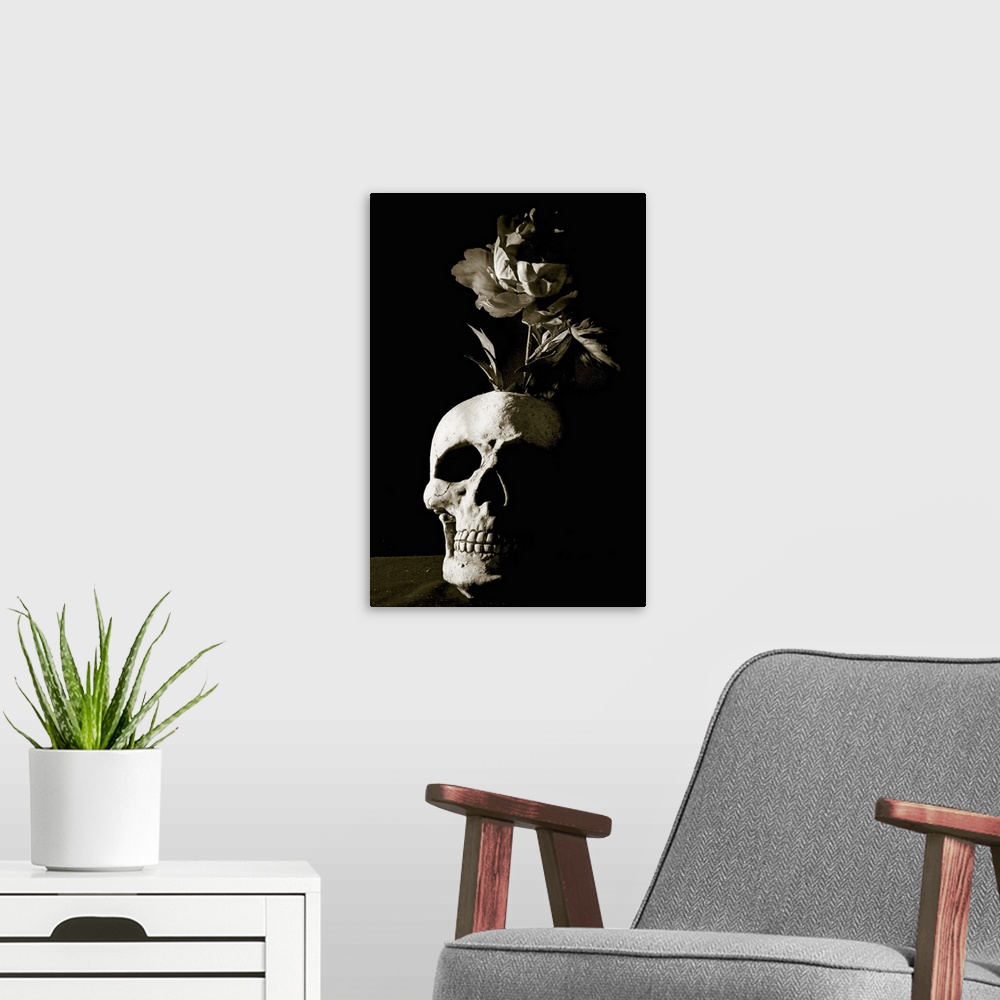 A modern room featuring skull and rose