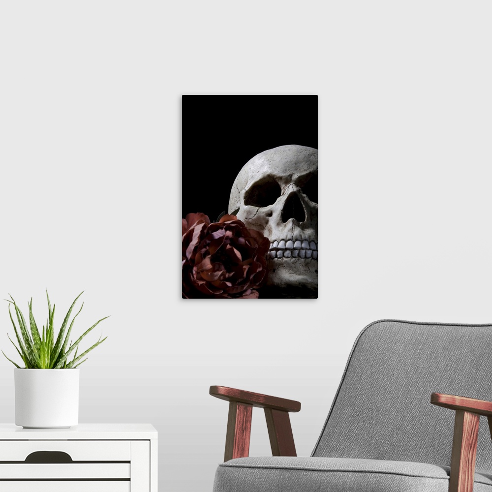 A modern room featuring skull and rose