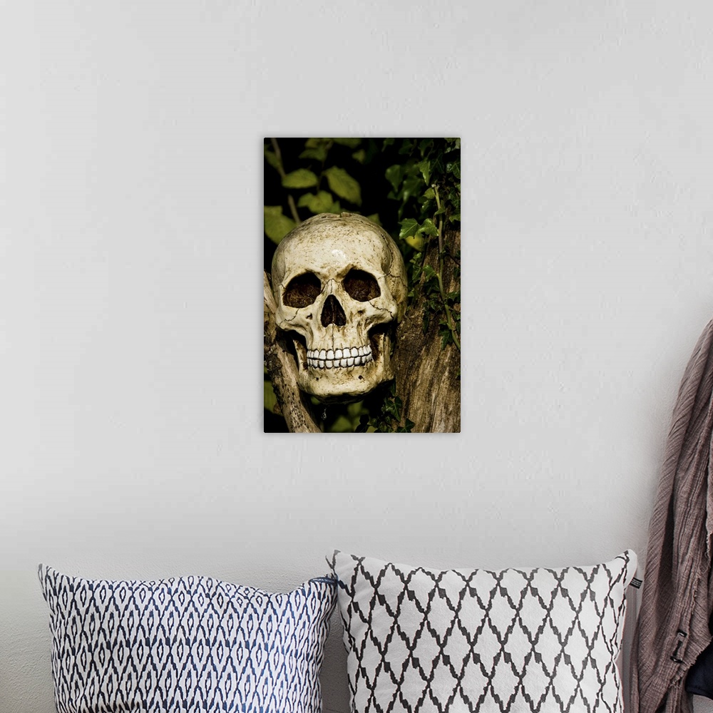 A bohemian room featuring skull in tree