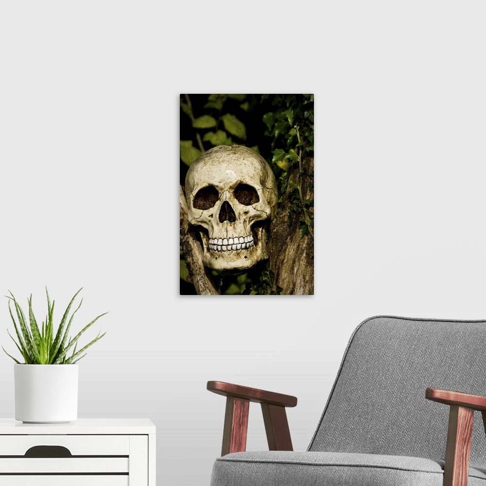 A modern room featuring skull in tree