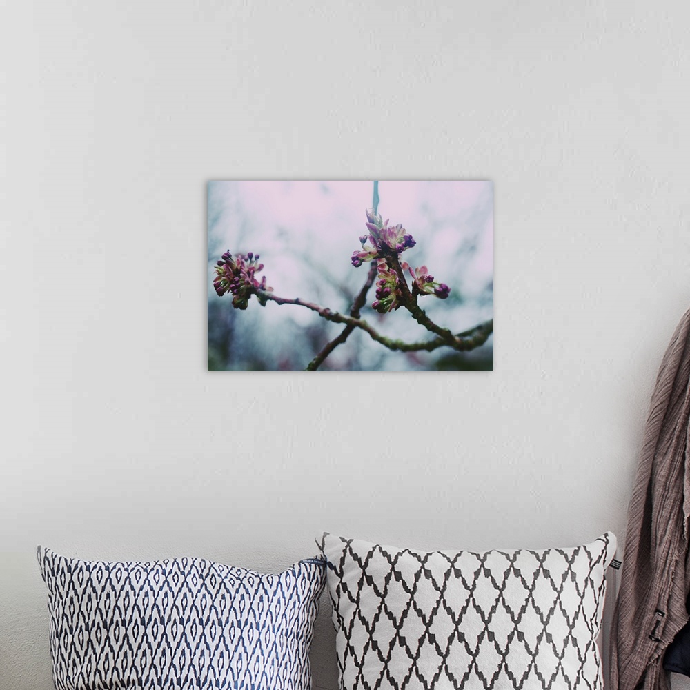 A bohemian room featuring Some new pink blossom emerging from tree branches.