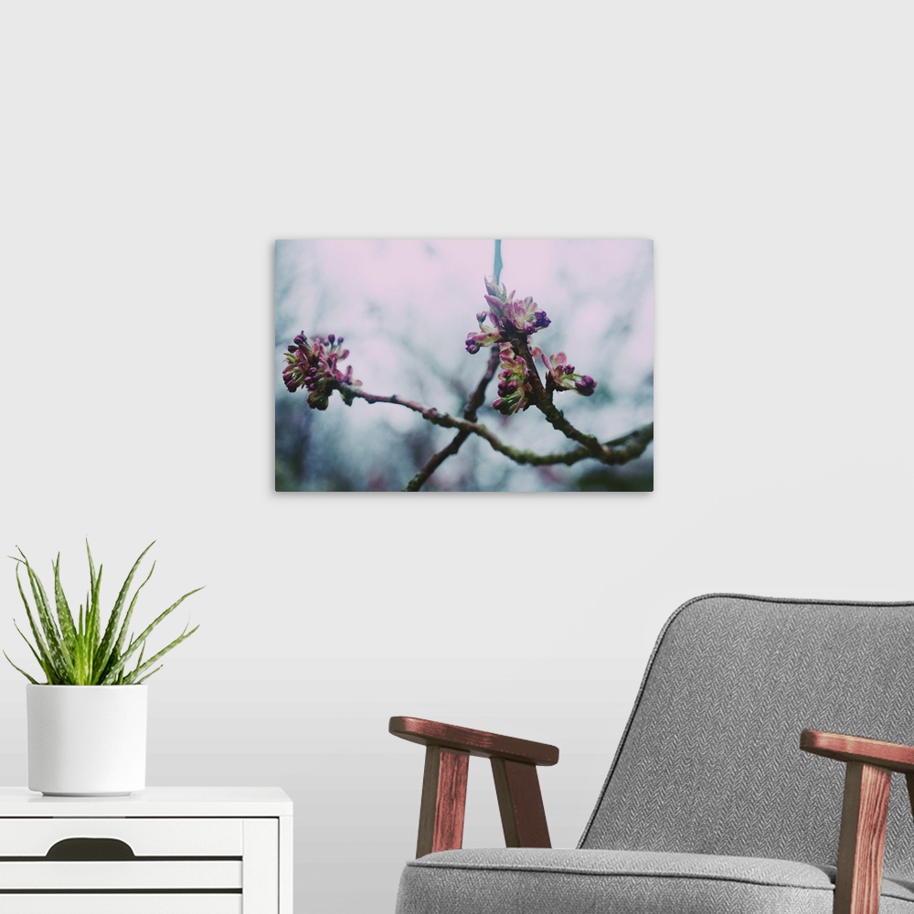 A modern room featuring Some new pink blossom emerging from tree branches.